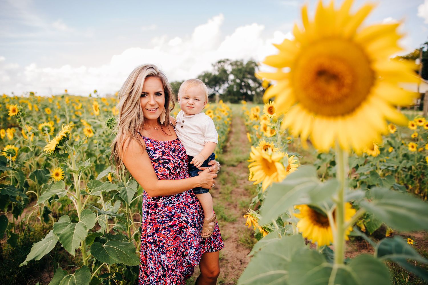 Sunflower Photography Session in Texas