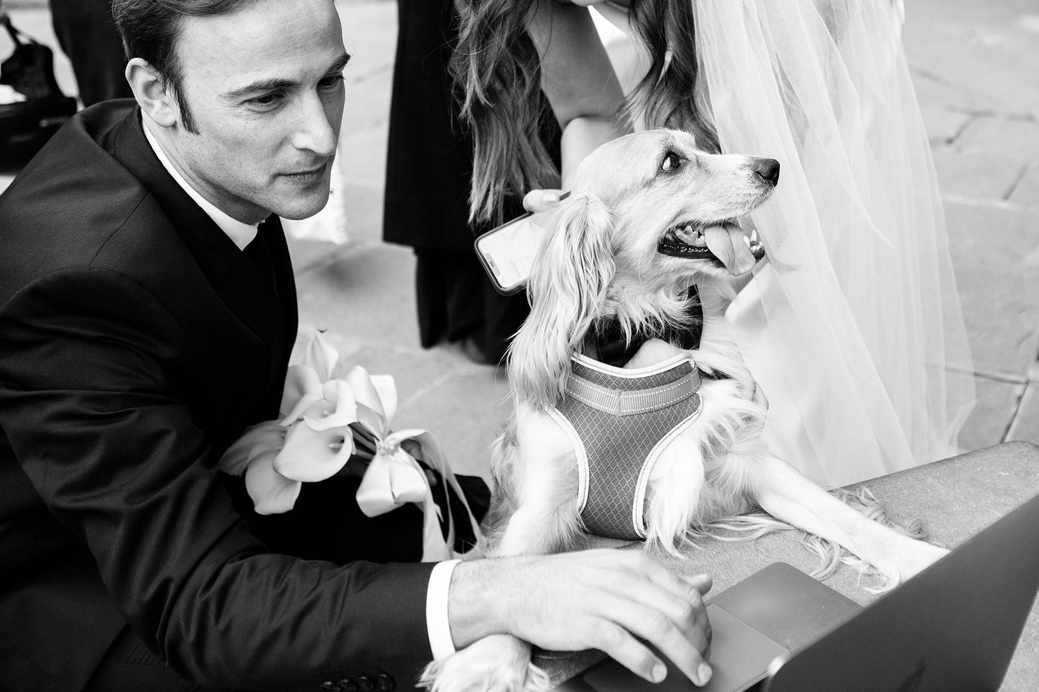 groom and dog in a tie setting up a laptop to stream a wedding in Florence