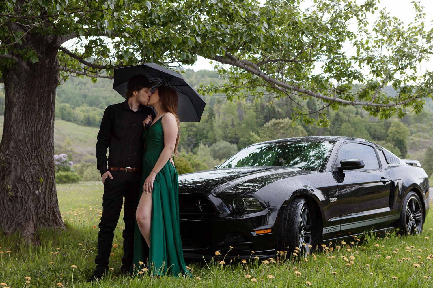 photographe gaspesie