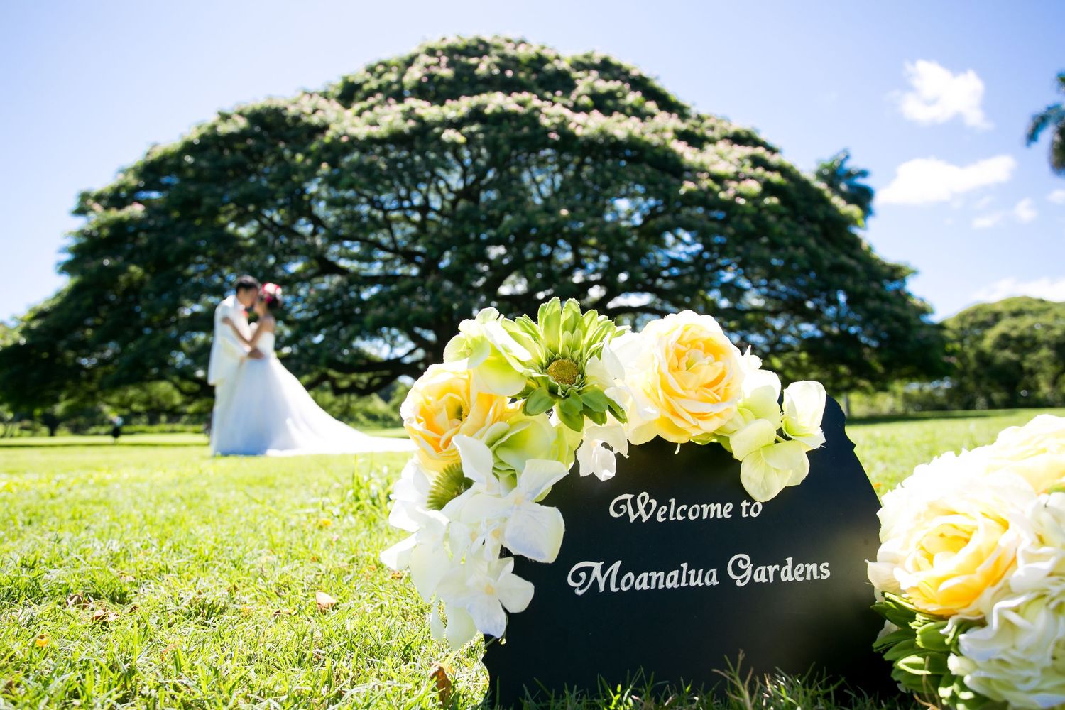 Welcome to Moanalua Gardens sign with flowers and couple kissing under a monkeypod tree.