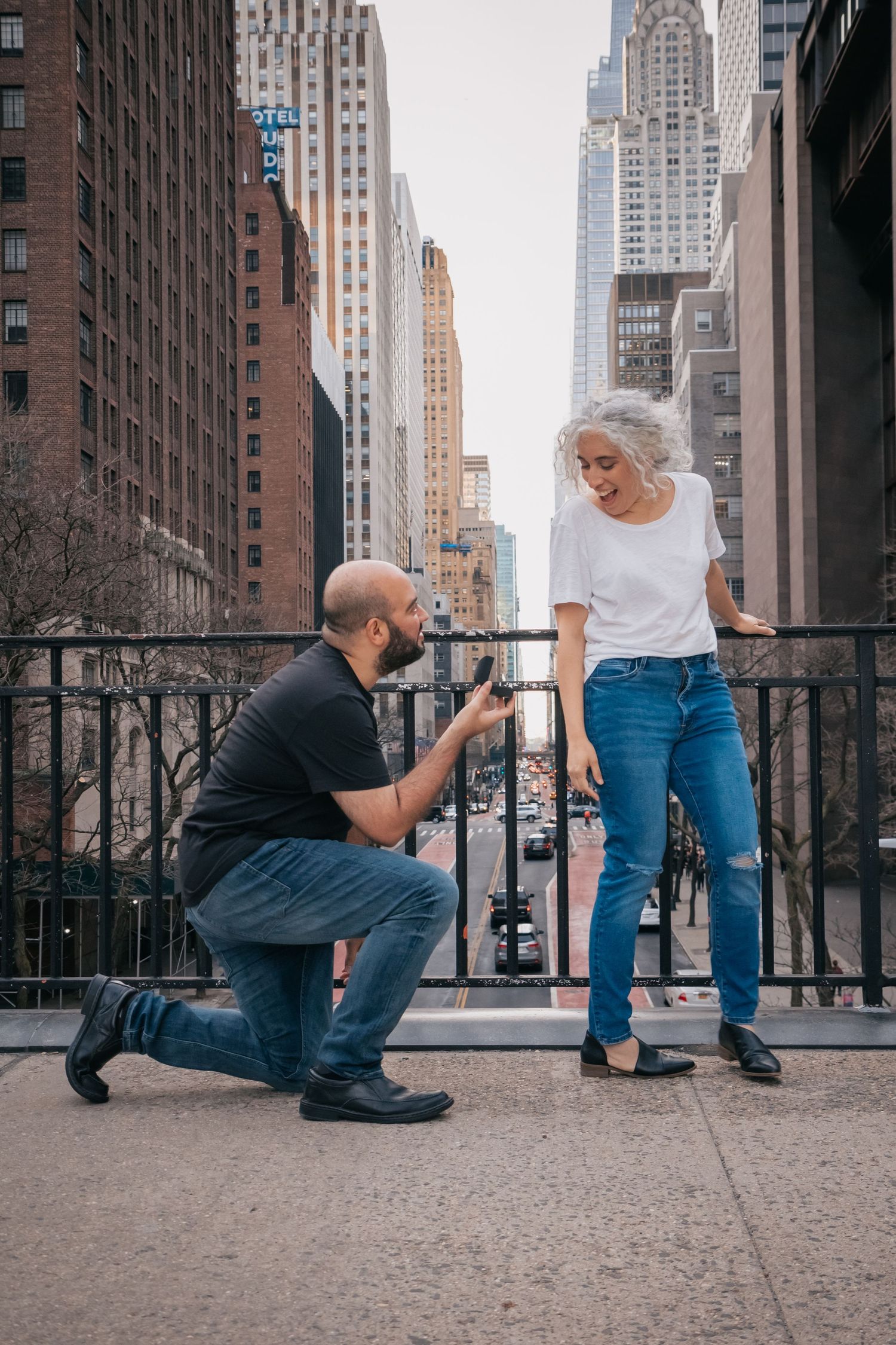 tudor city proposal