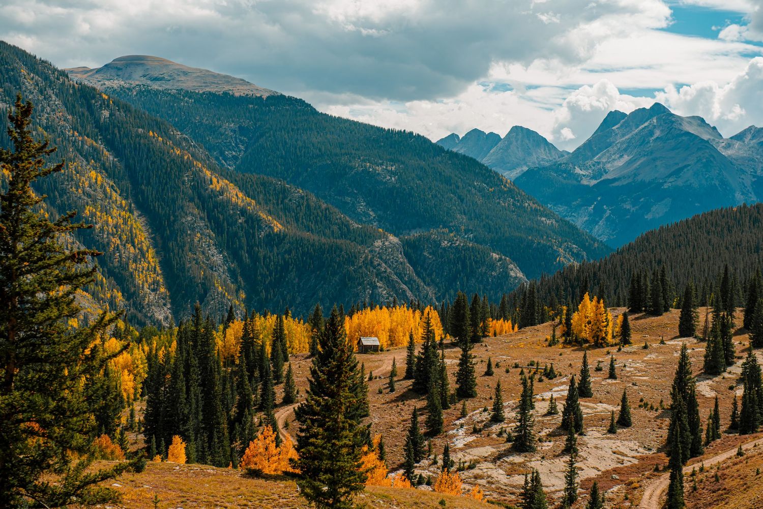 Mountain vista with golden aspen trees and evergreen forest under blue skies.