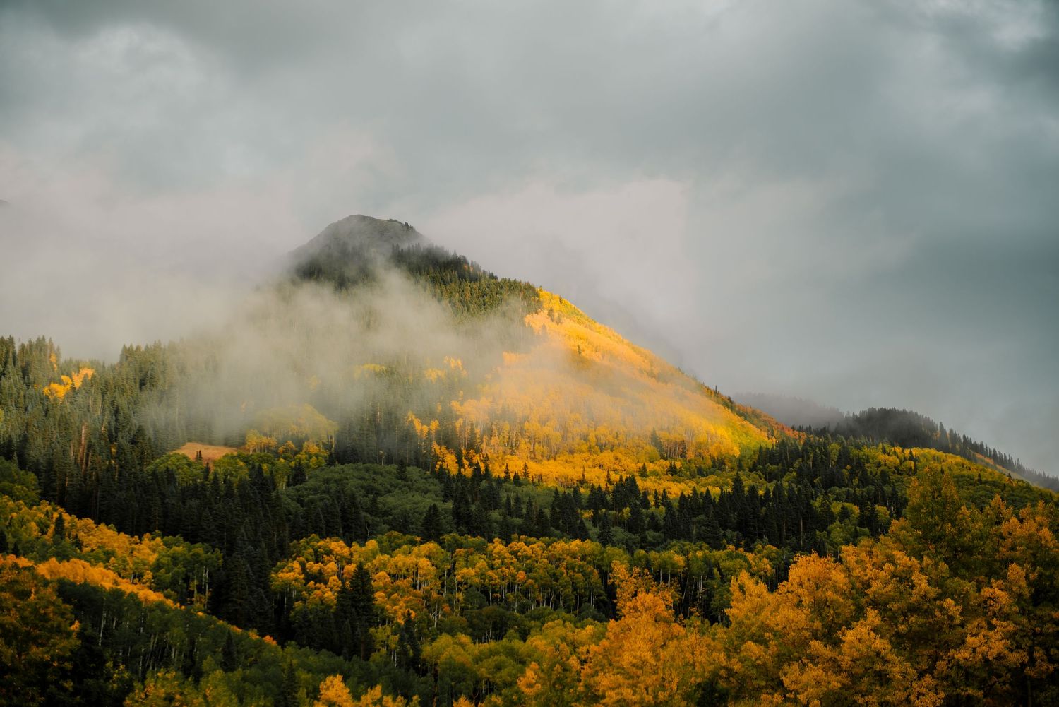 Misty mountain peaks with golden aspen trees glowing in autumn sunlight.