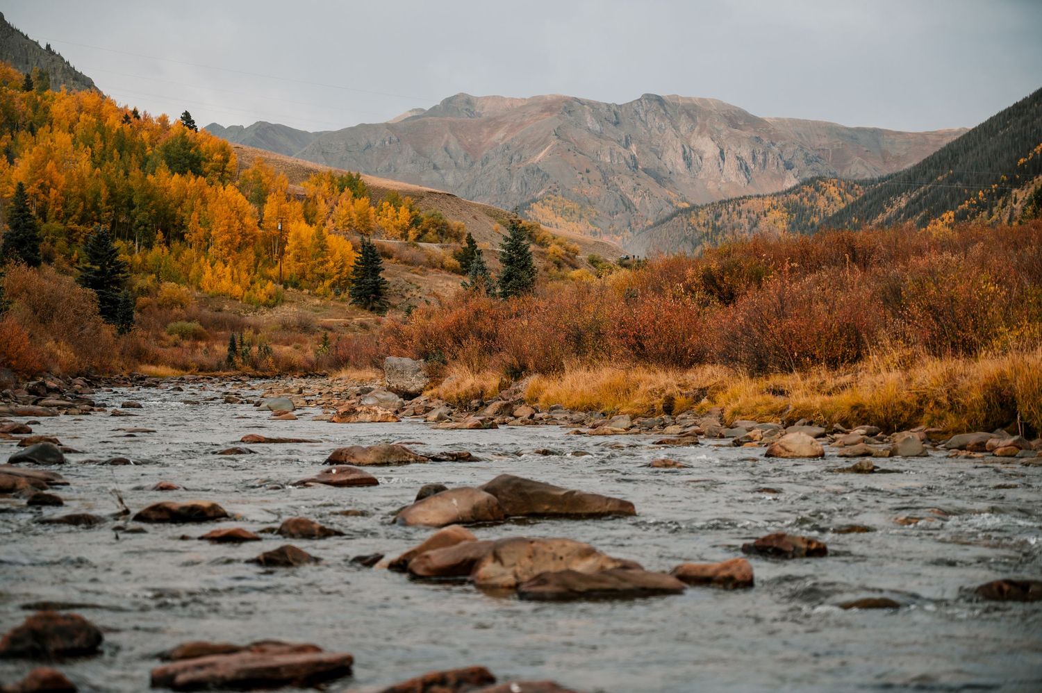 Rocky mountain stream with large boulders surrounded by golden fall foliage and rugged peaks.