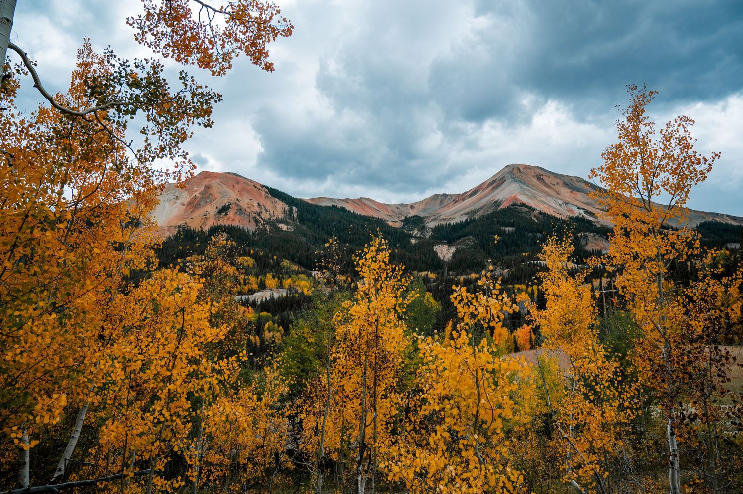 Dramatic mountain landscape with golden aspen trees and stormy clouds during peak fall color.