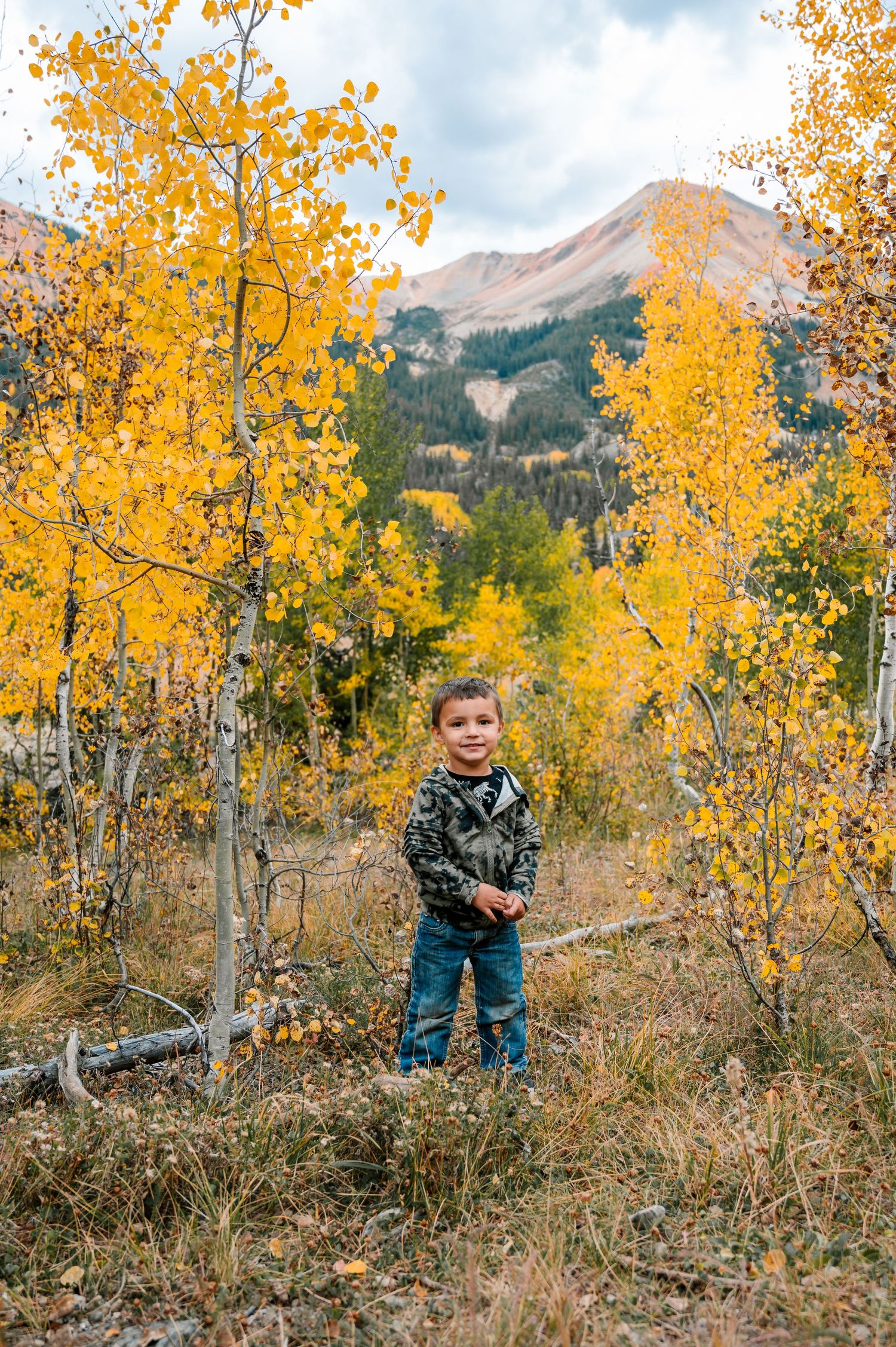 Autumn aspen grove with golden leaves and mountain peaks in background.