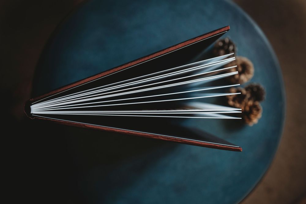 Dramatic close-up of an open book pages fanned out against a dark background.