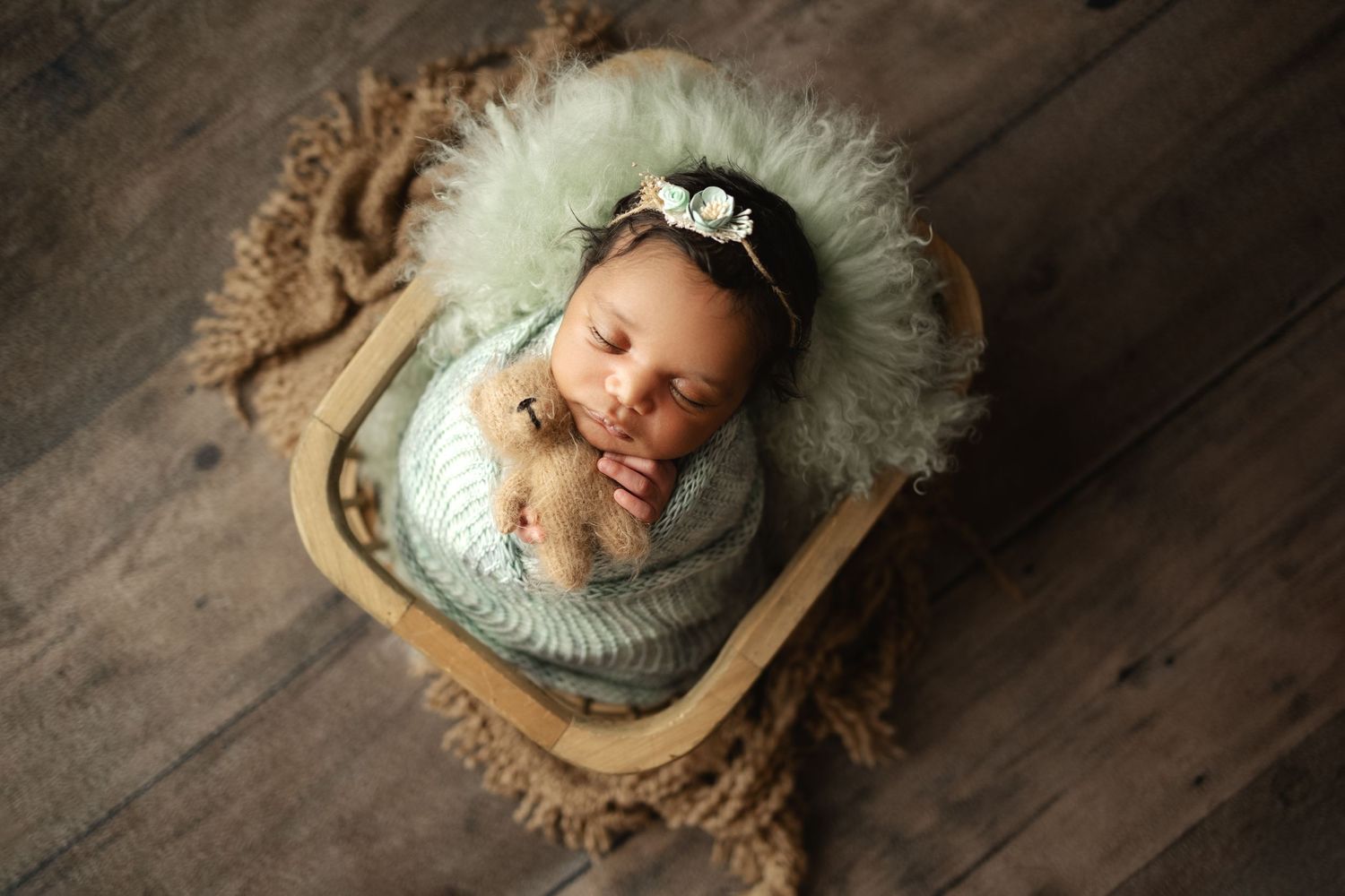 newborn portraits