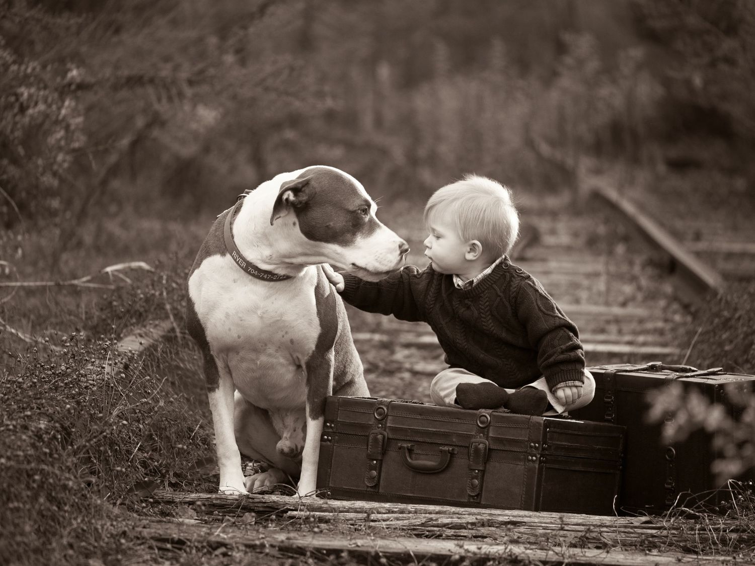 Image Source, Family Photography