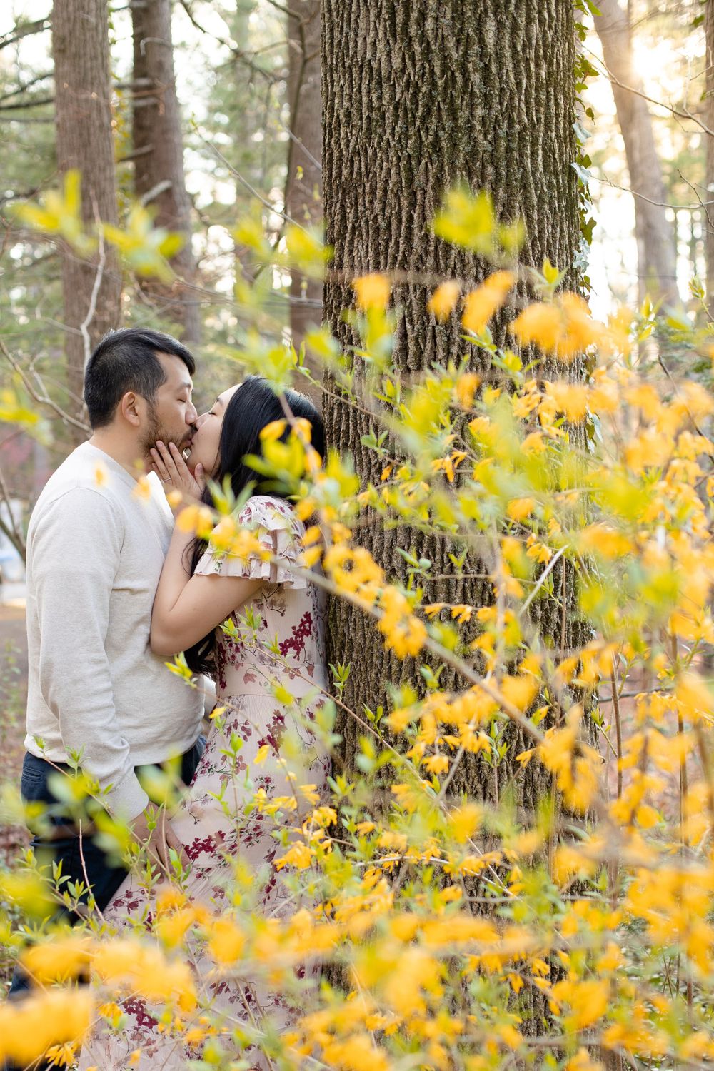 A couple kisses behind yellow autumn foliage in a scenic forest setting.