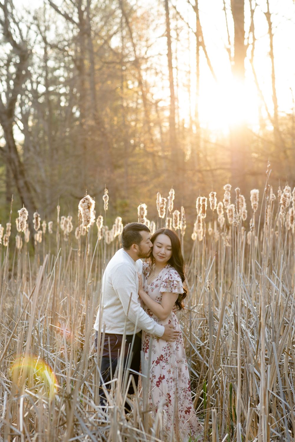 A tender embrace among tall cattails during sunset in a natural setting.