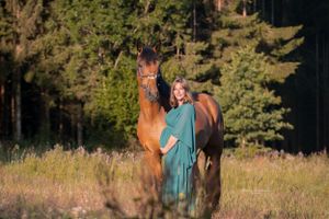 Brown horse standing in tall grass during golden hour.