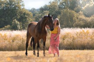 Horse and rider walking through a golden field at sunset.