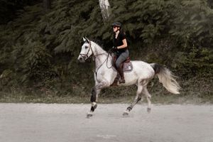 White horse and rider practicing dressage moves on dirt path.