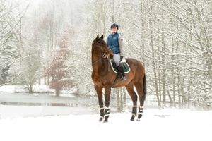 Horses and riders in a snowy winter landscape with bare trees.