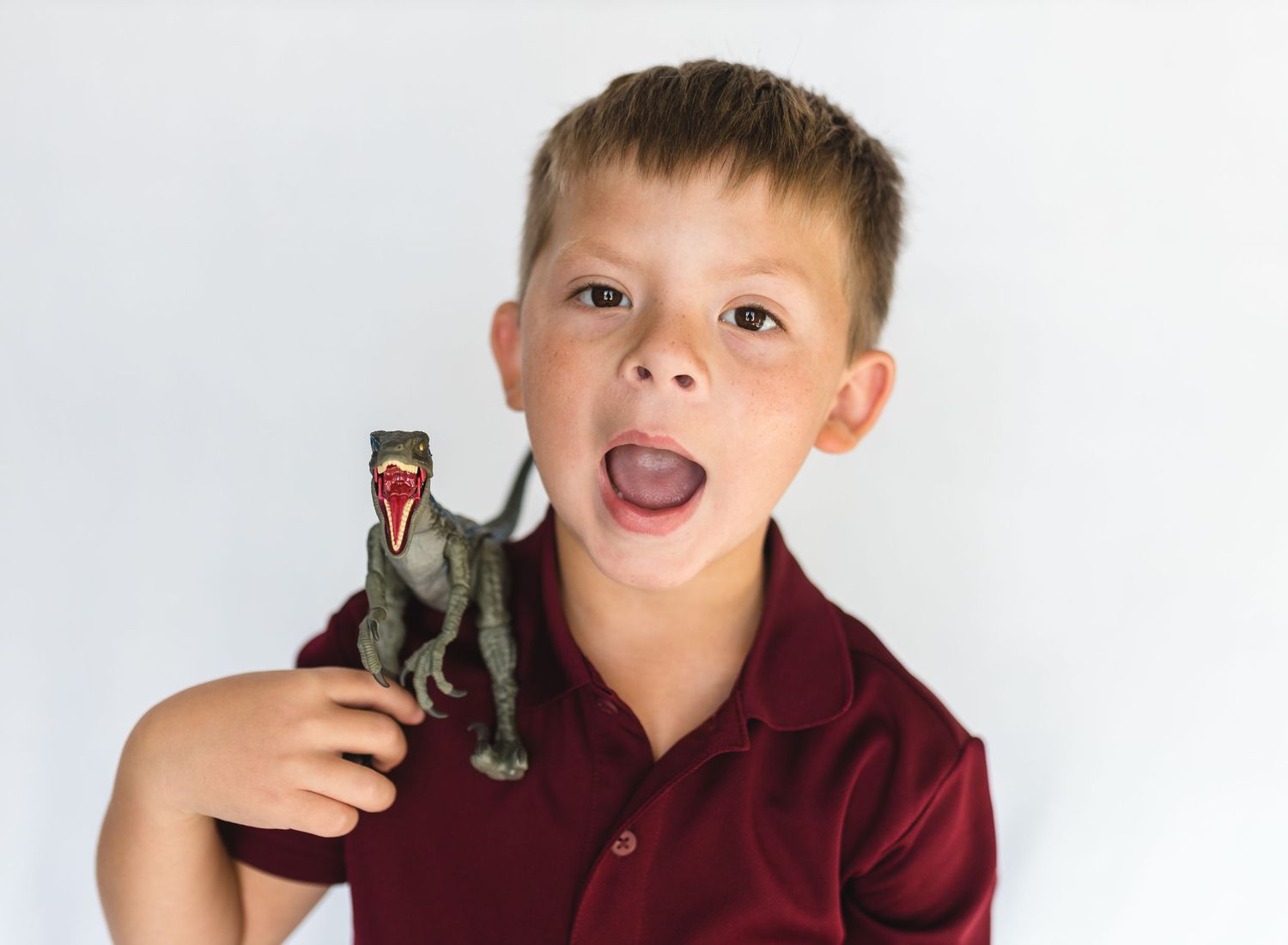 Child in red polo shirt excitedly showing off a toy dinosaur against white background.