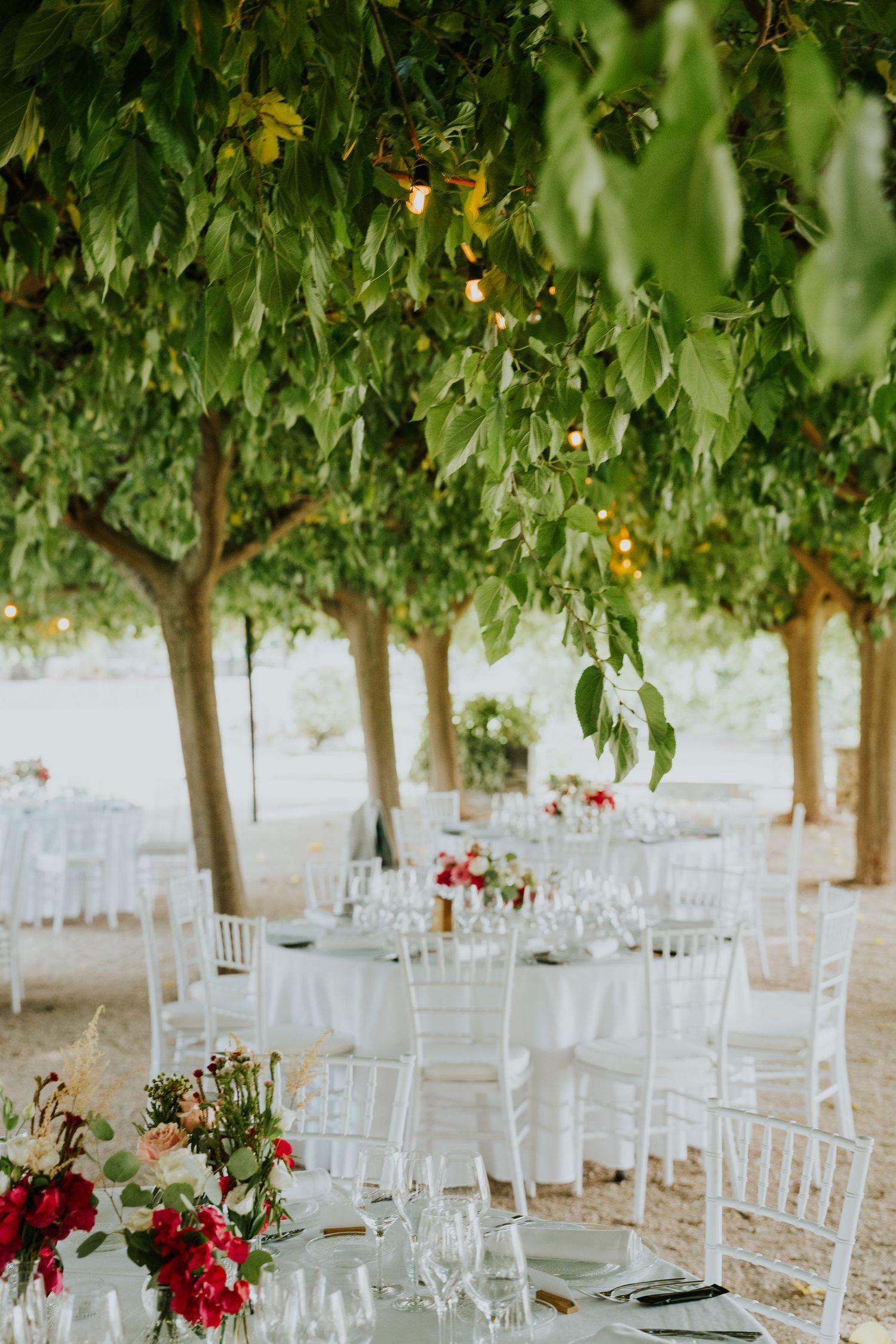 Garden wedding reception setup with white tables and chairs beneath string-lit trees.