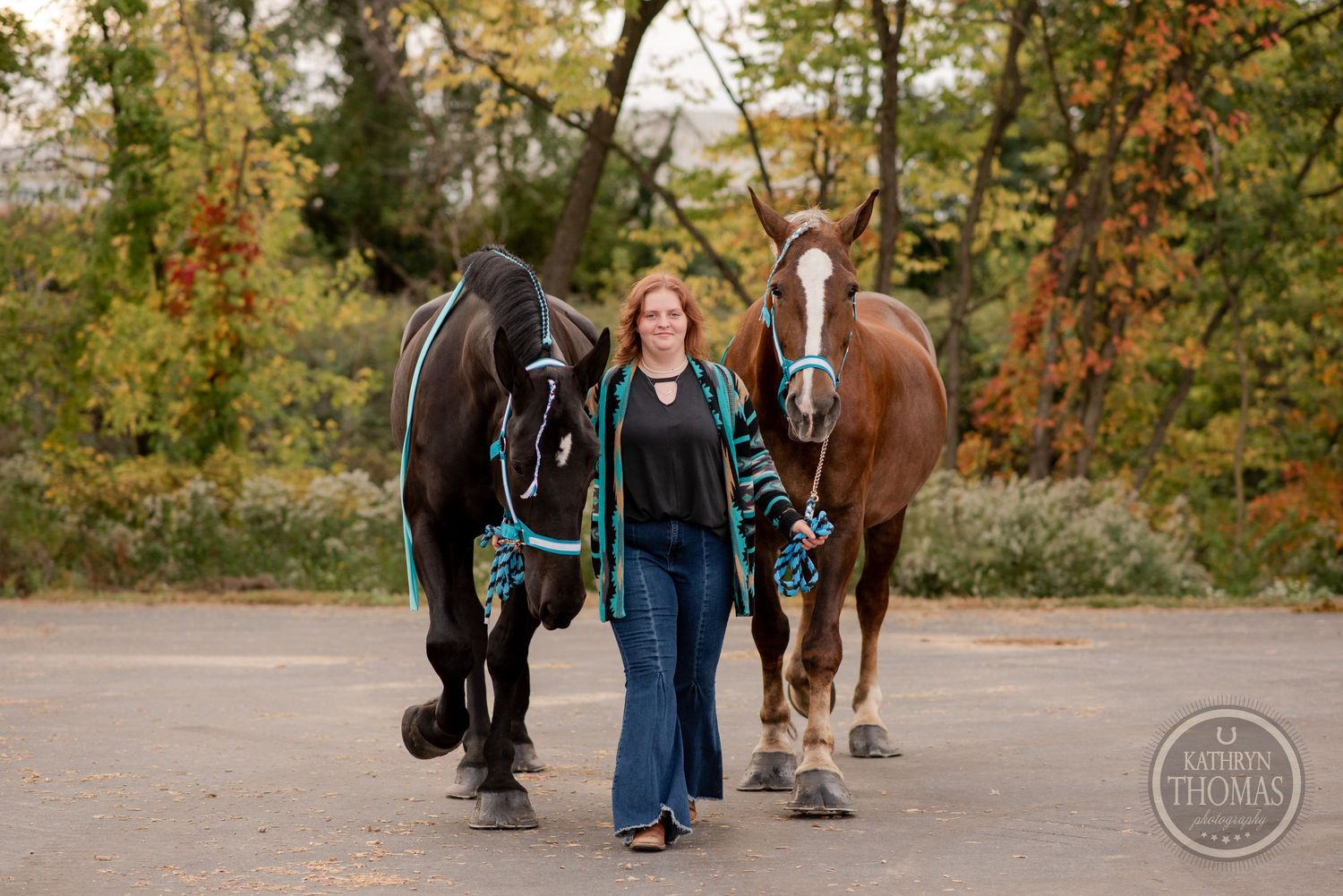 Two horses with teal bridles walking alongside on a paved path during autumn.