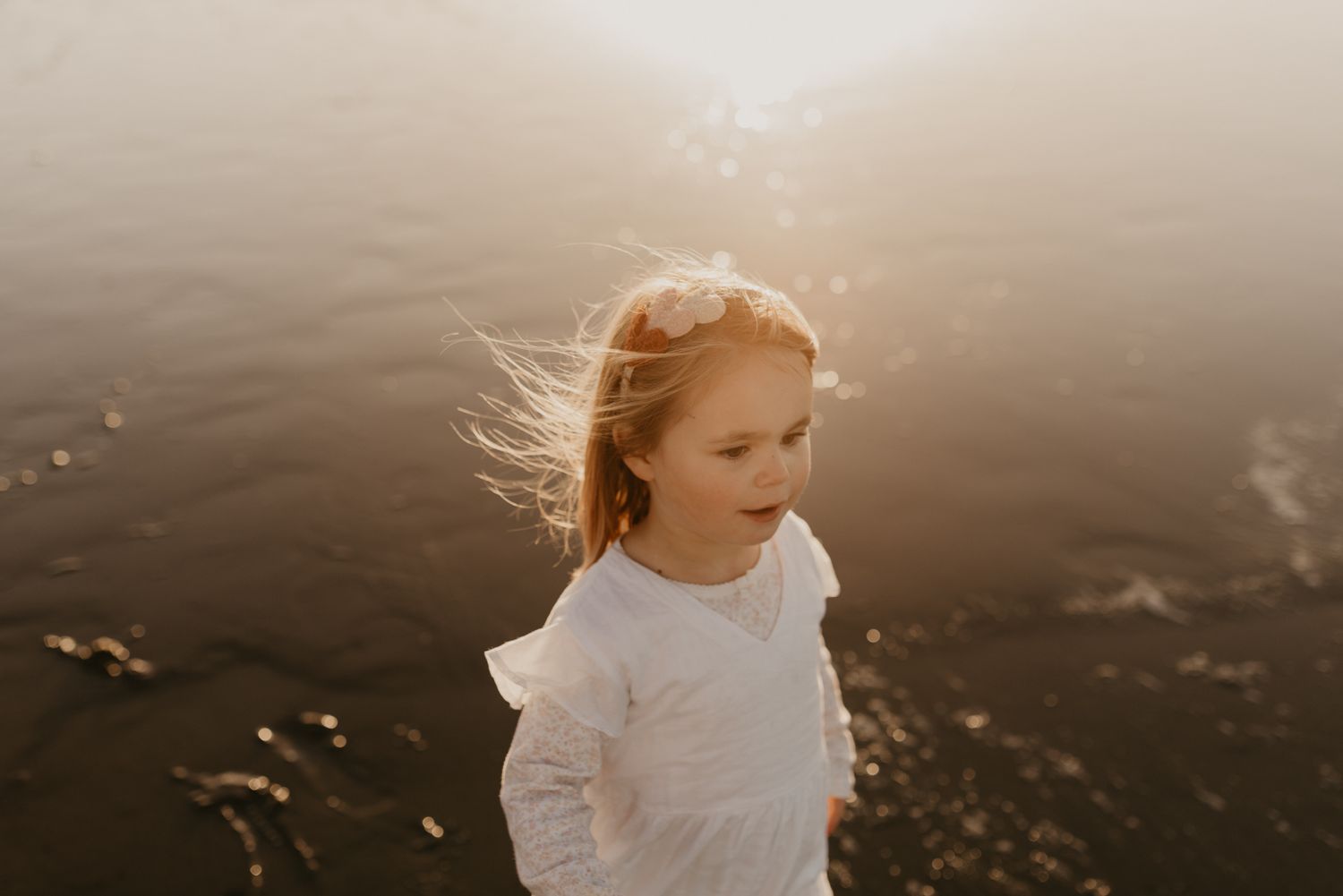 Golden sunlight illuminates a windswept scene on a mountain overlook.