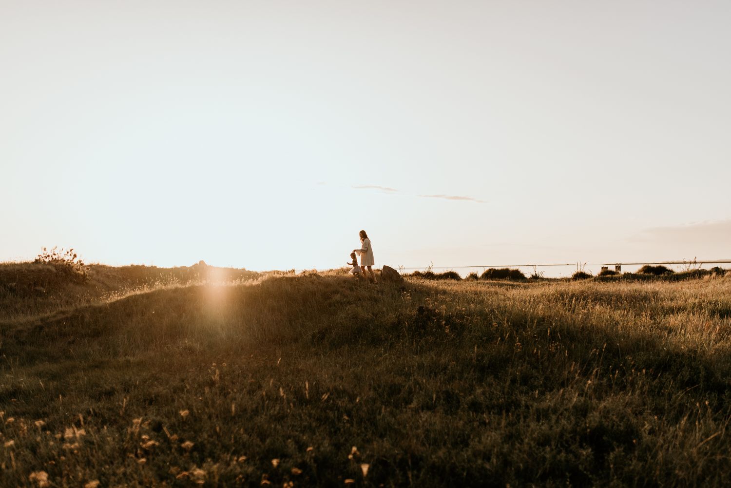 Silhouetted figures stand in a grassy field during golden hour sunset.