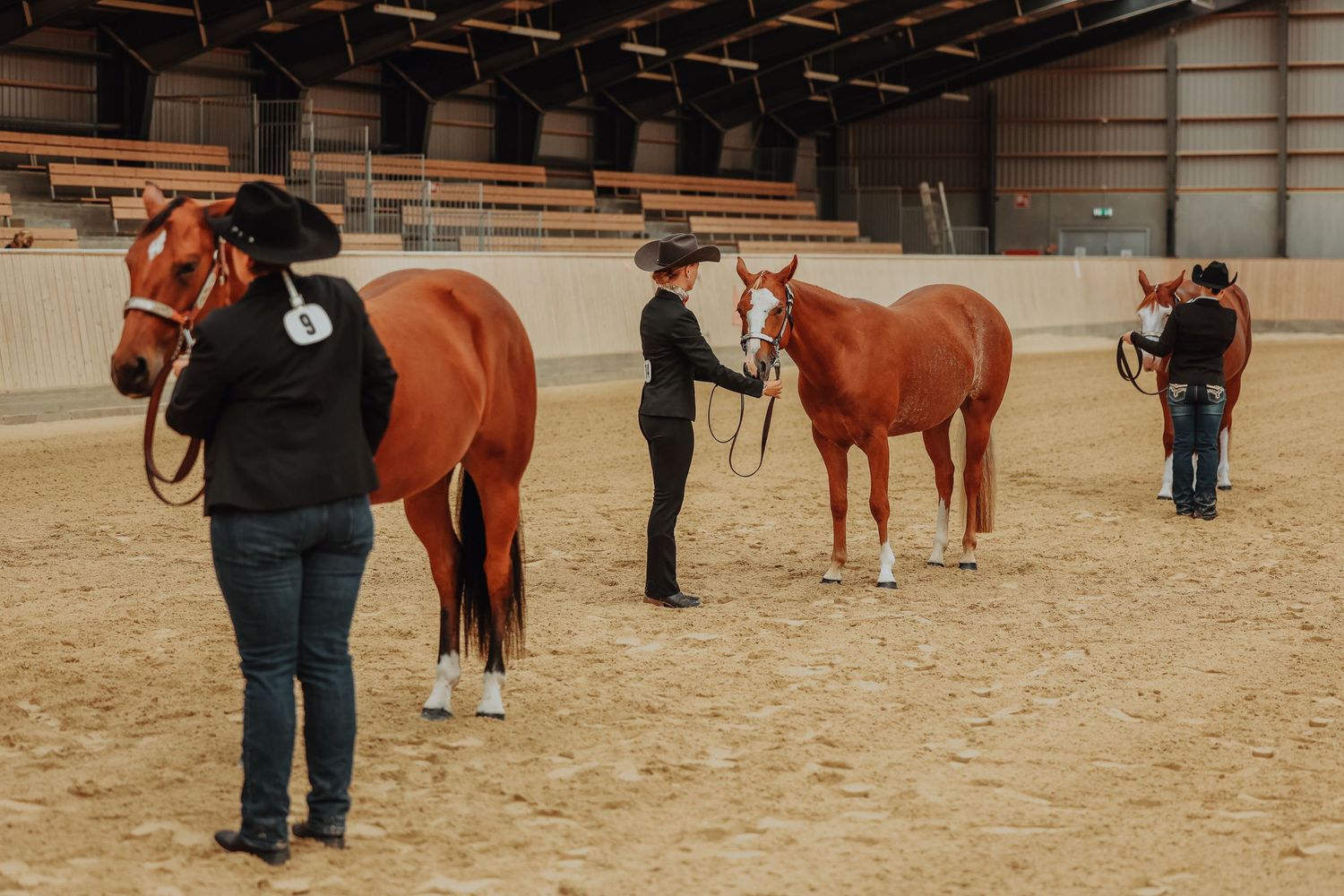 Three handlers working with chestnut horses in an indoor arena setting.