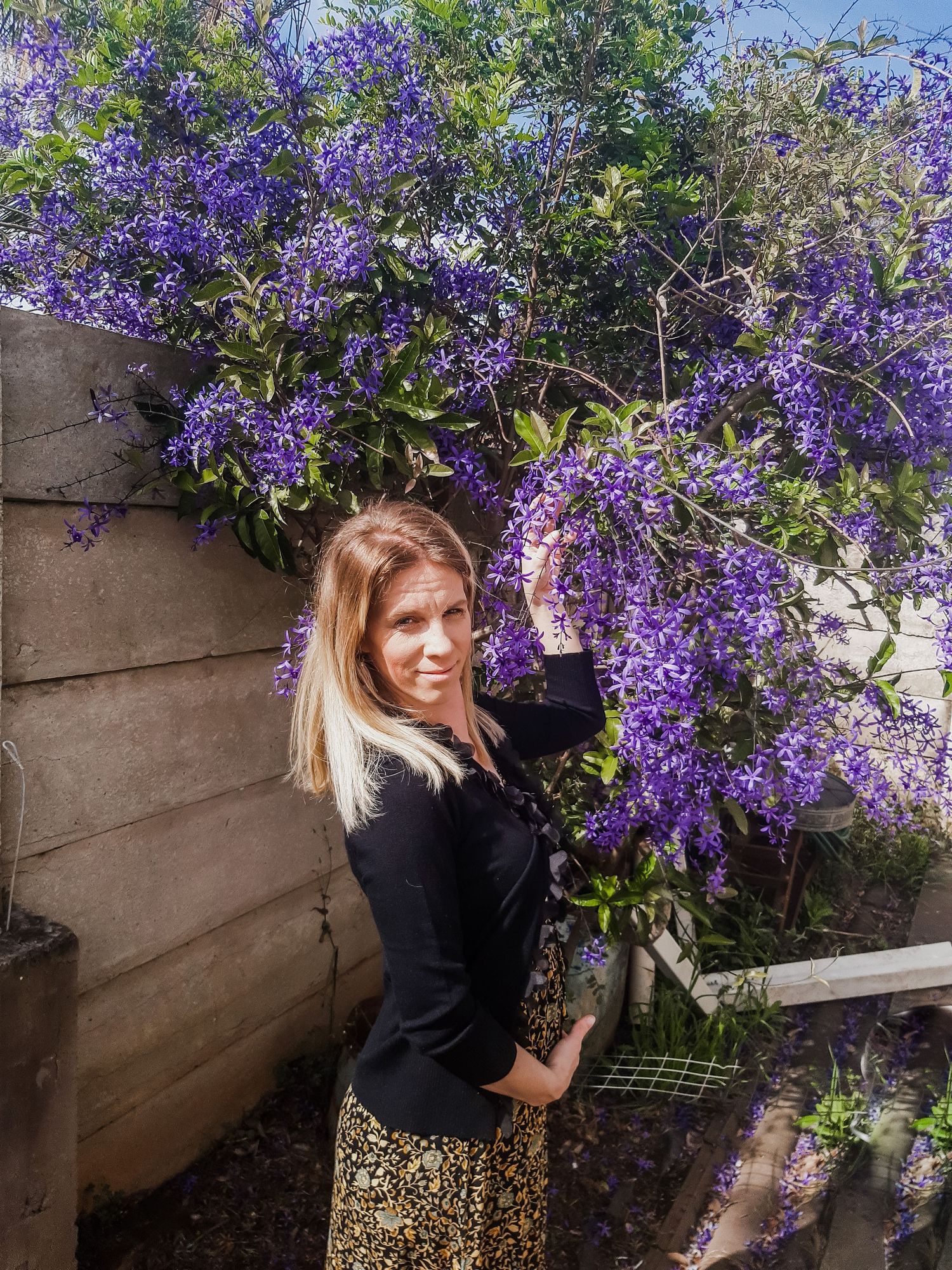 Person near blooming purple wisteria against wooden wall.