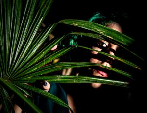 Close-up shots of palm fronds creating dramatic shadows and silhouettes.