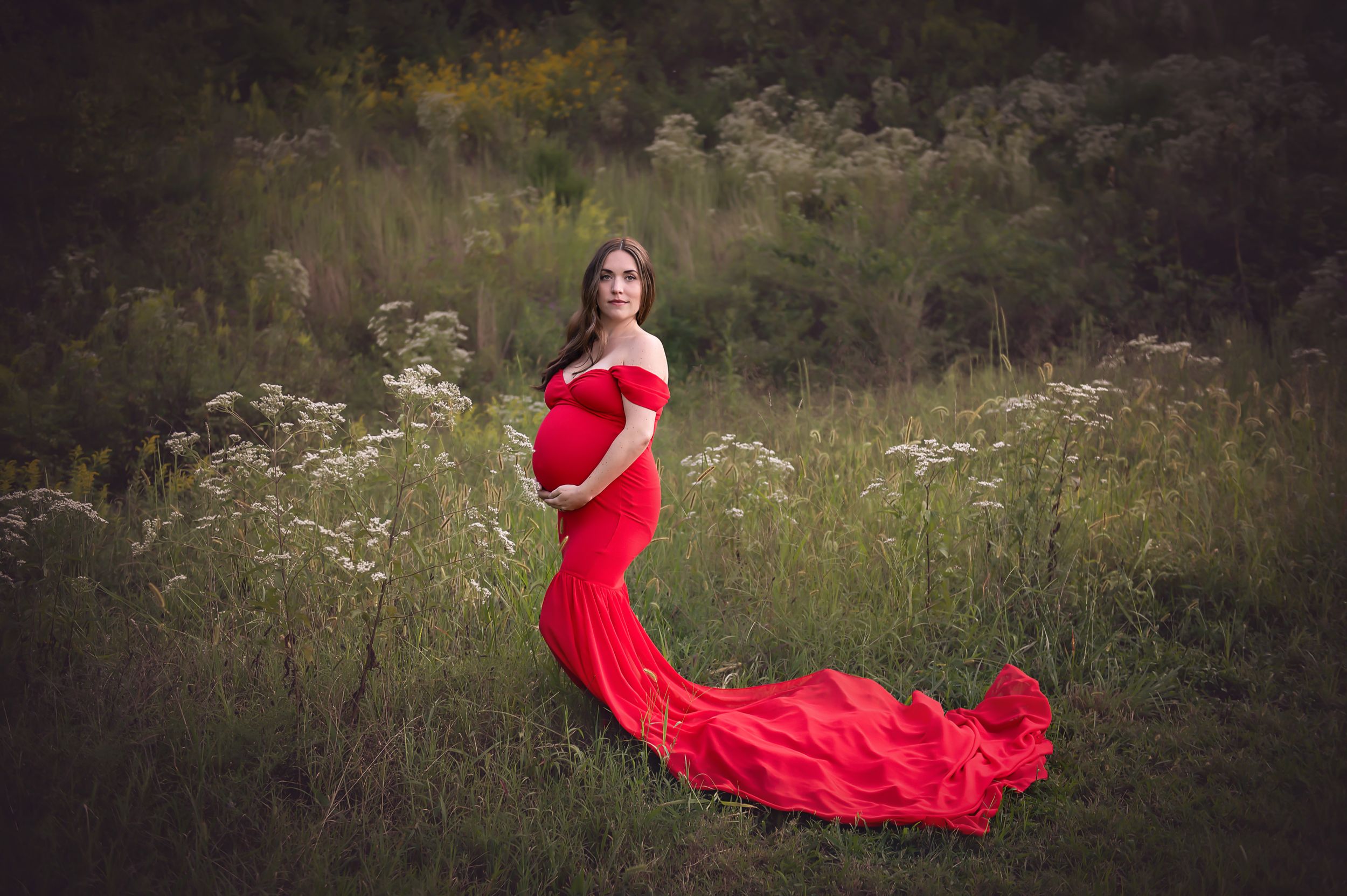 Woman in flowing red maternity gown poses dramatically against rustic hillside landscape.