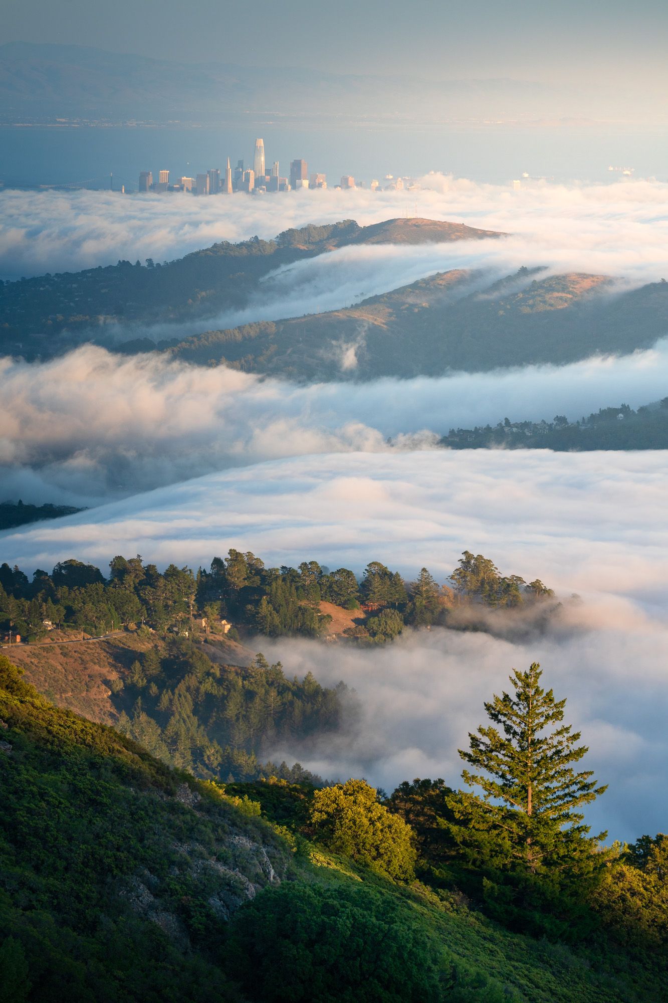 San Francisco skyline rises above foggy hillsides of Mount Tamalpais on a misty evening in California.