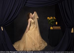 Fineart portret meisje in gele jurk met vermelding gewonnen award