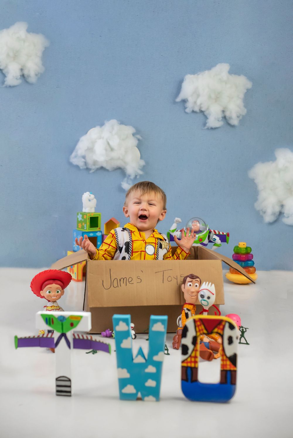 Citrus County, Florida Cake smash photographer