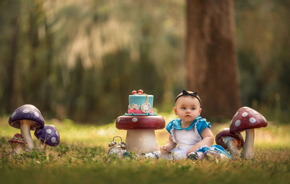 Citrus County, Fl Cake Smash Photographer