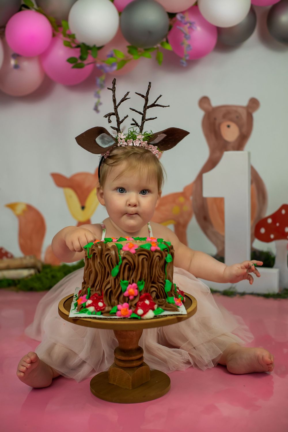 Citrus County, Florida Cake smash photographer