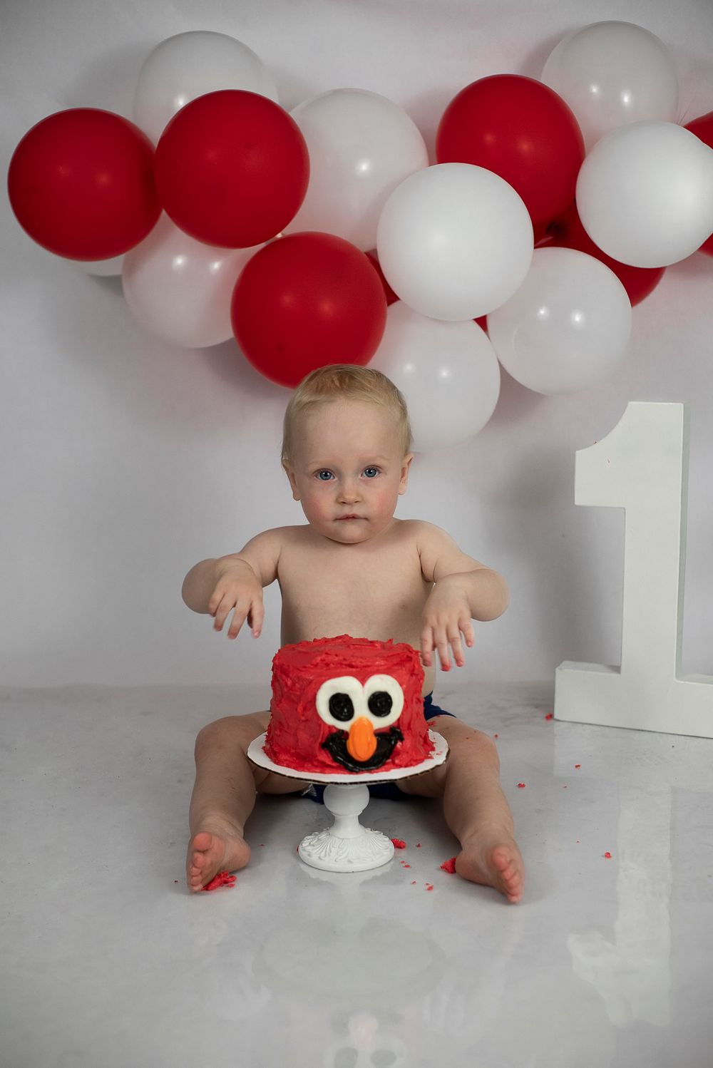Citrus County, Florida Cake smash photographer