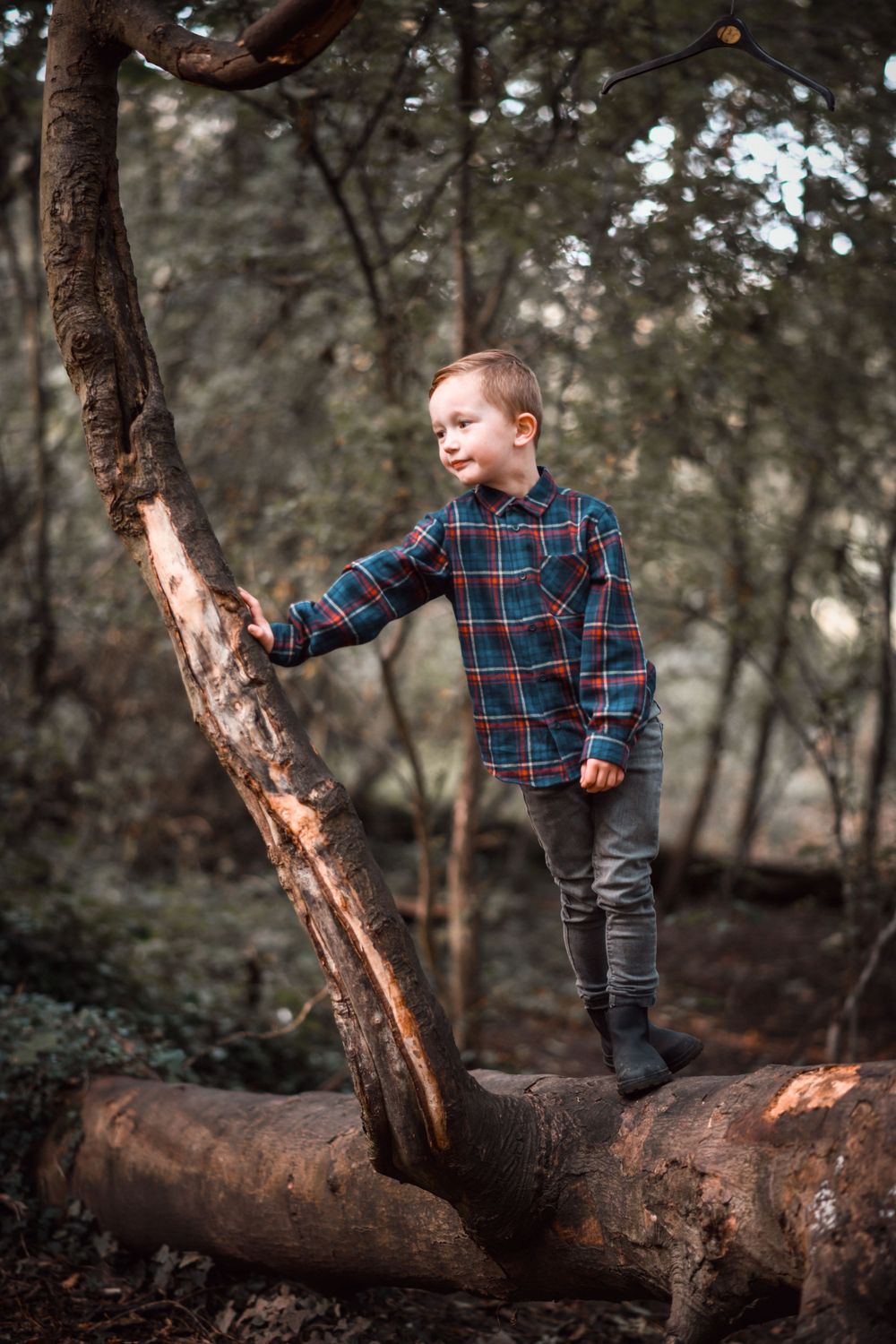 A young child in a plaid shirt explores nature while standing on a fallen tree in the woods.