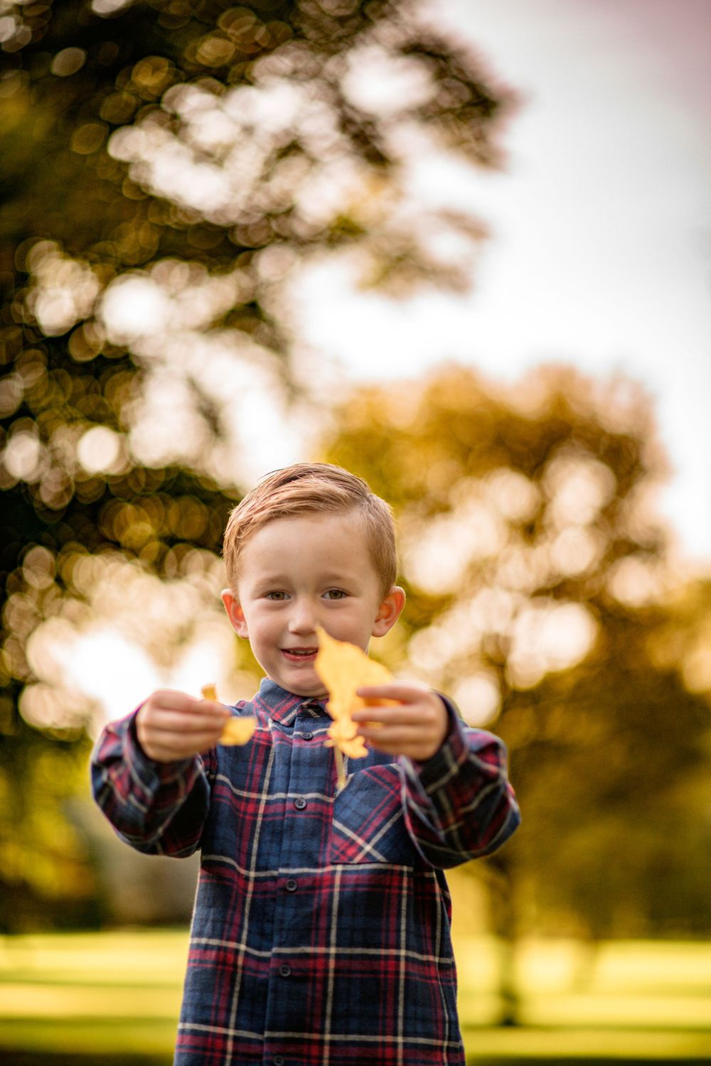 Child in plaid shirt holding autumn leaves with bokeh background.