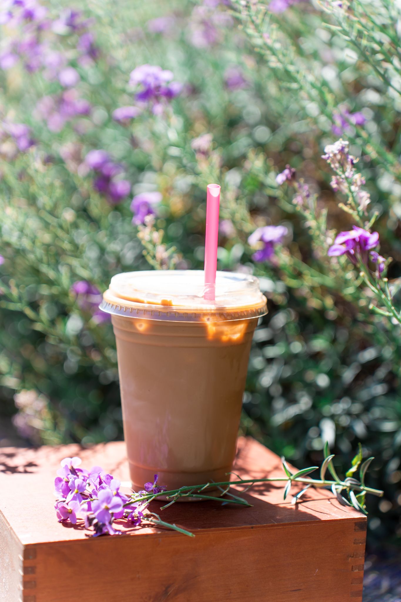 cold brew coffee with purple flowers