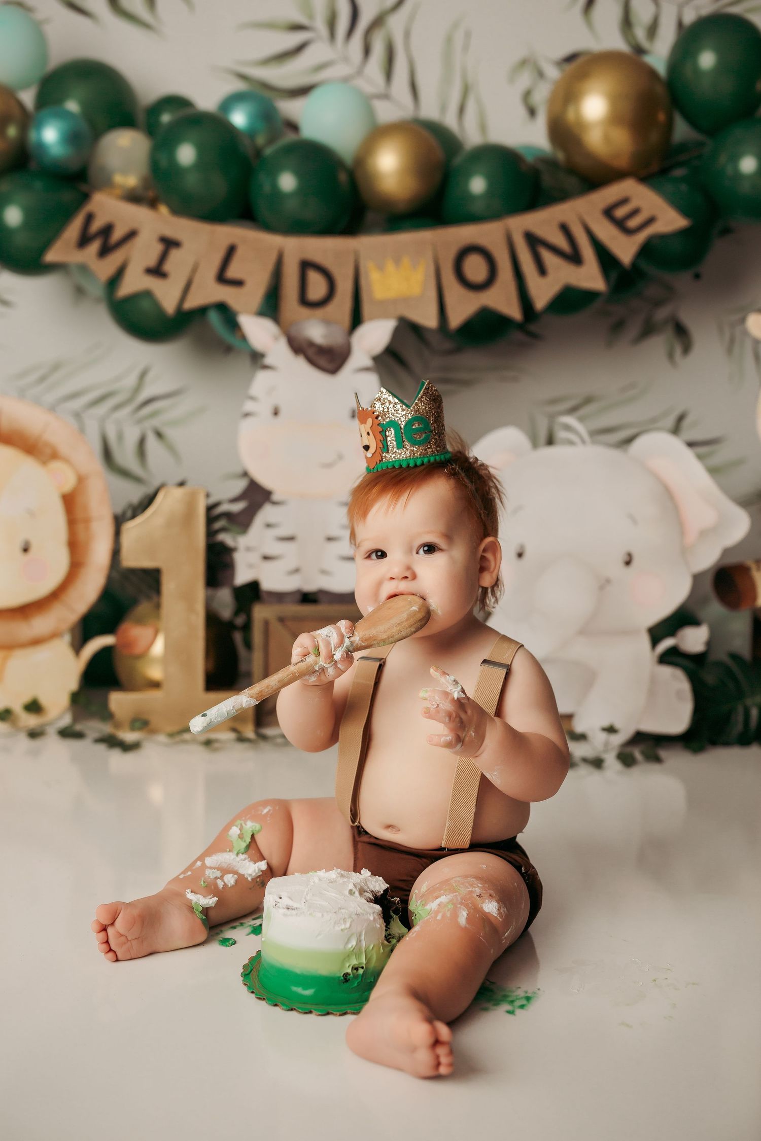 Tulsa cake smash photographer baby boy wild one theme cake smash