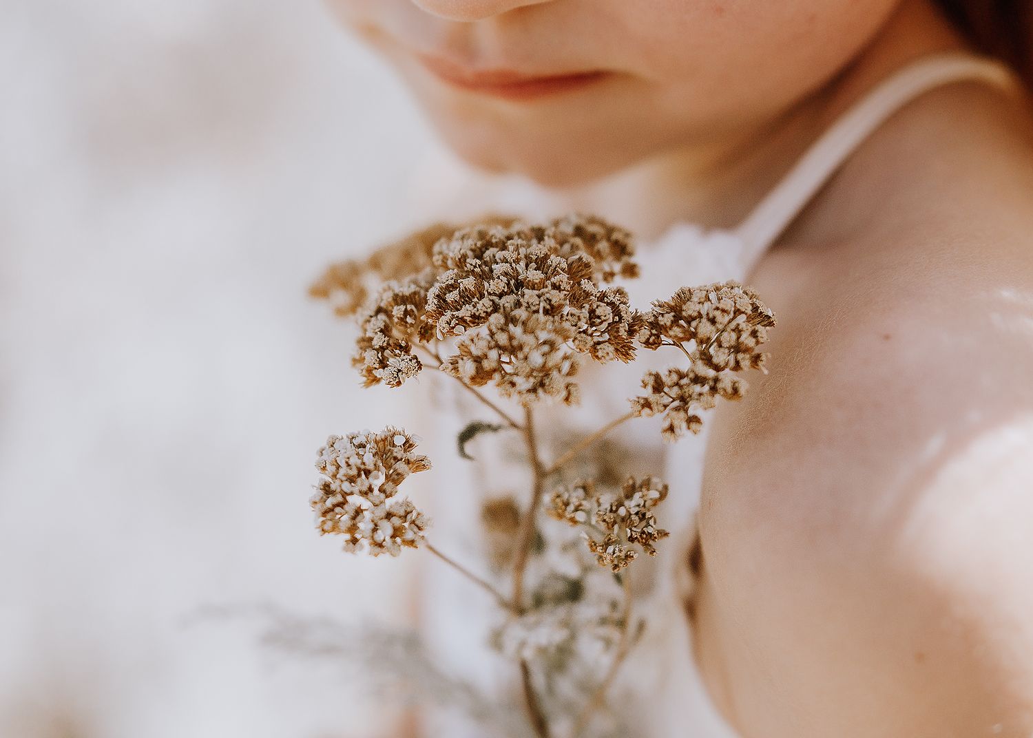 dried flowers
