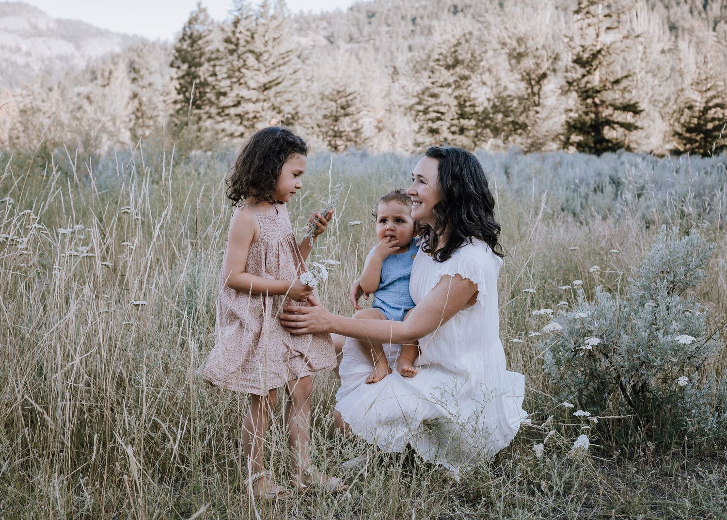 family session in wildflowers