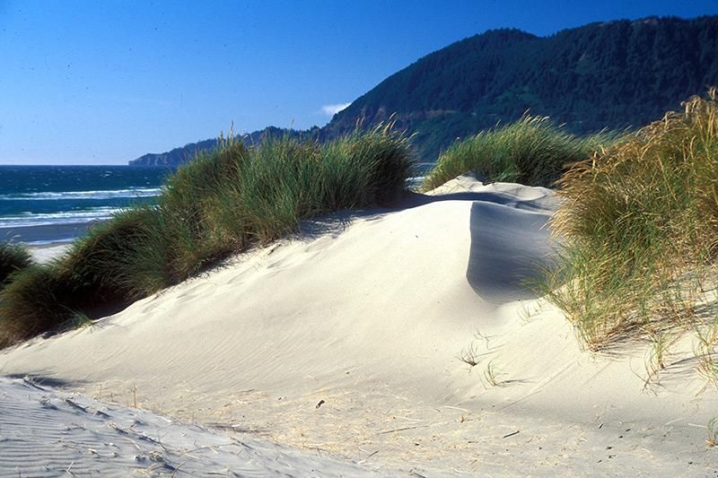 Nehalem Bay State Park at Manzanita in Oregon