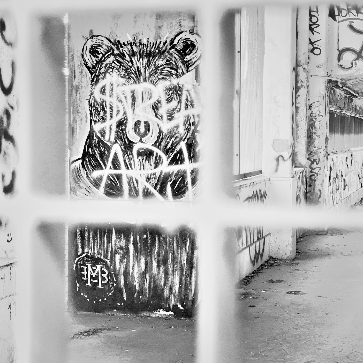 "Streat" Art in Black and White (Rome, Italy) - Graffiti, metal gate