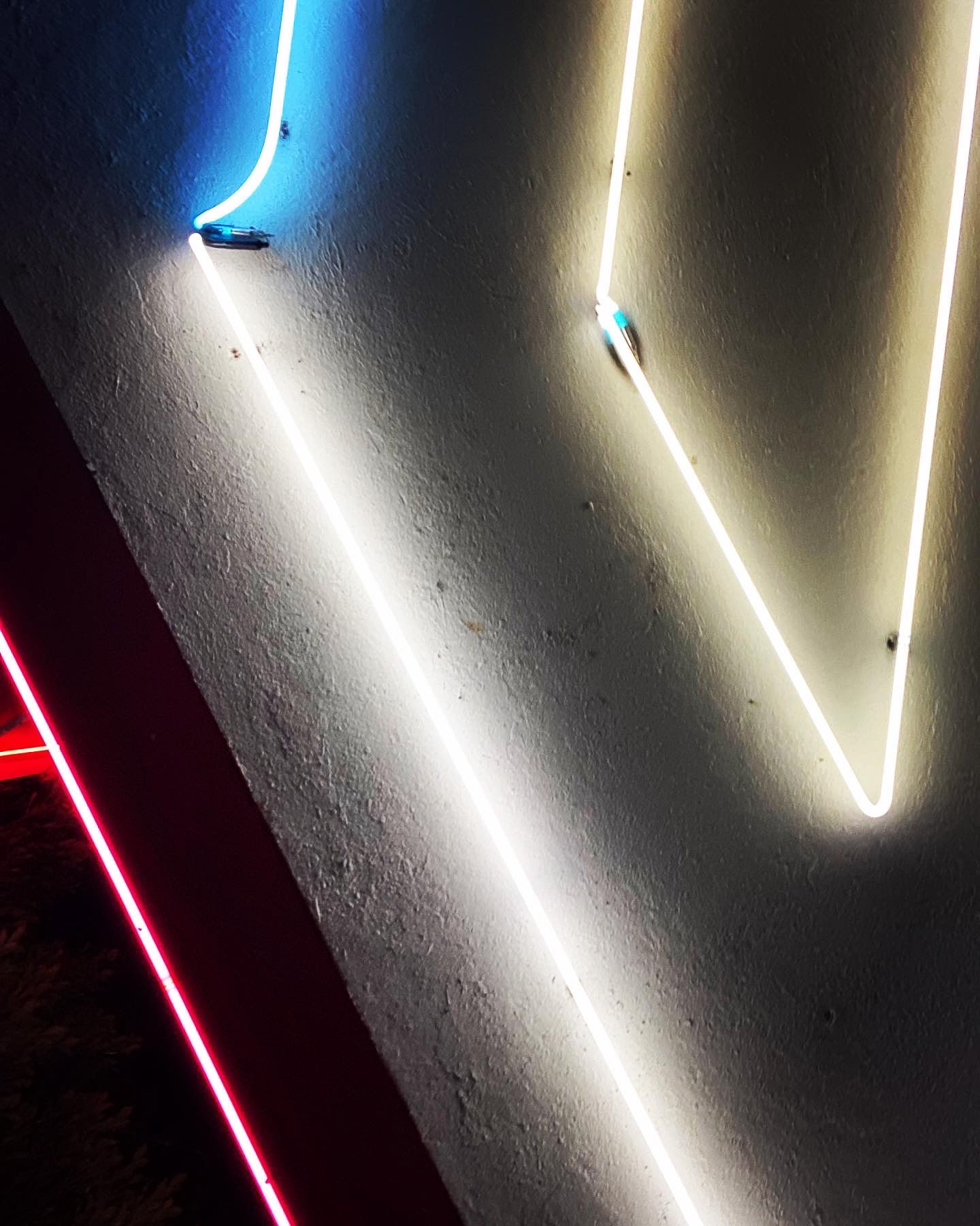 Neon in Color (The Roxie Theater, San Francisco, CA) - Colors, ceiling, theatre