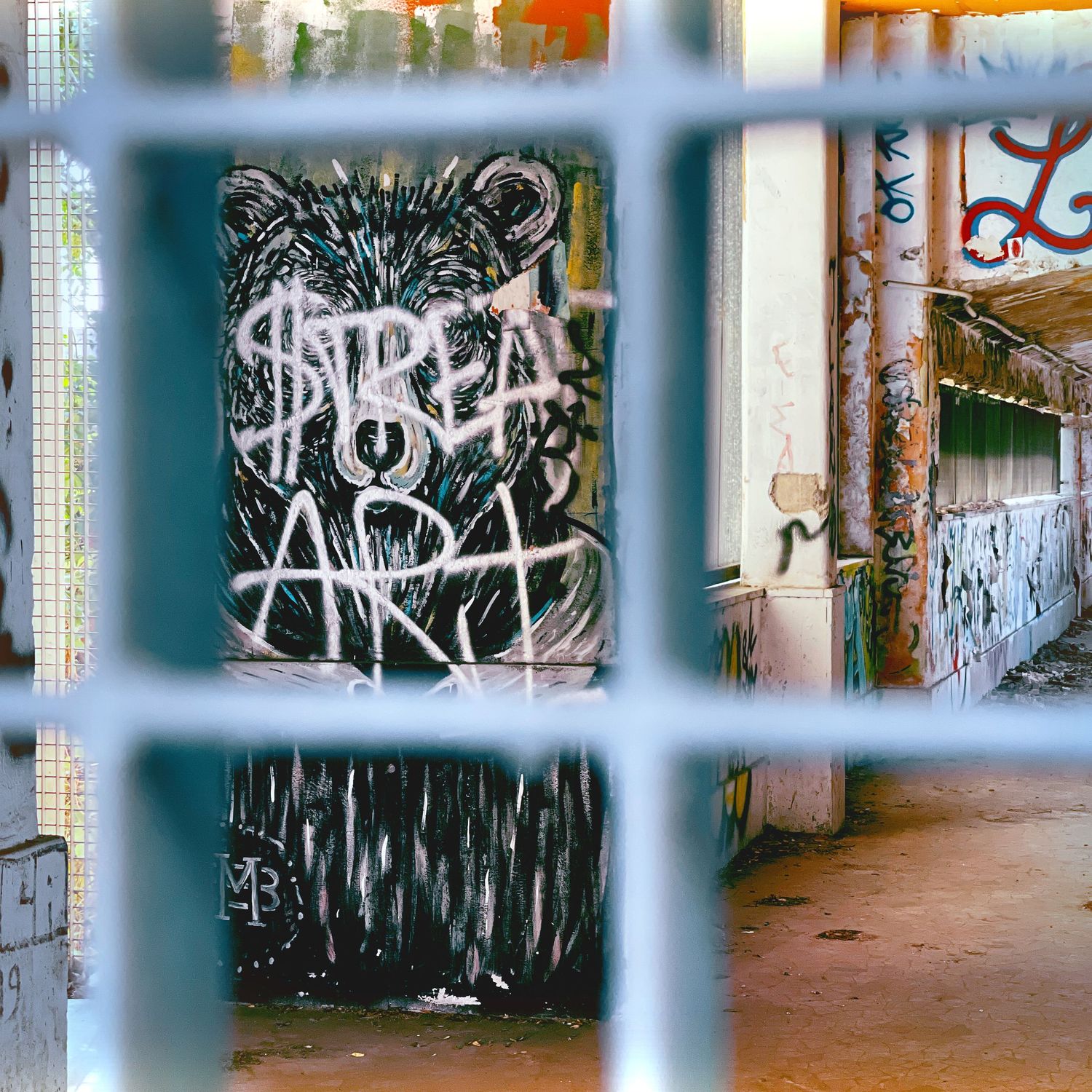 "Streat" Art in Color (Rome, Italy) - Graffiti, metal gate