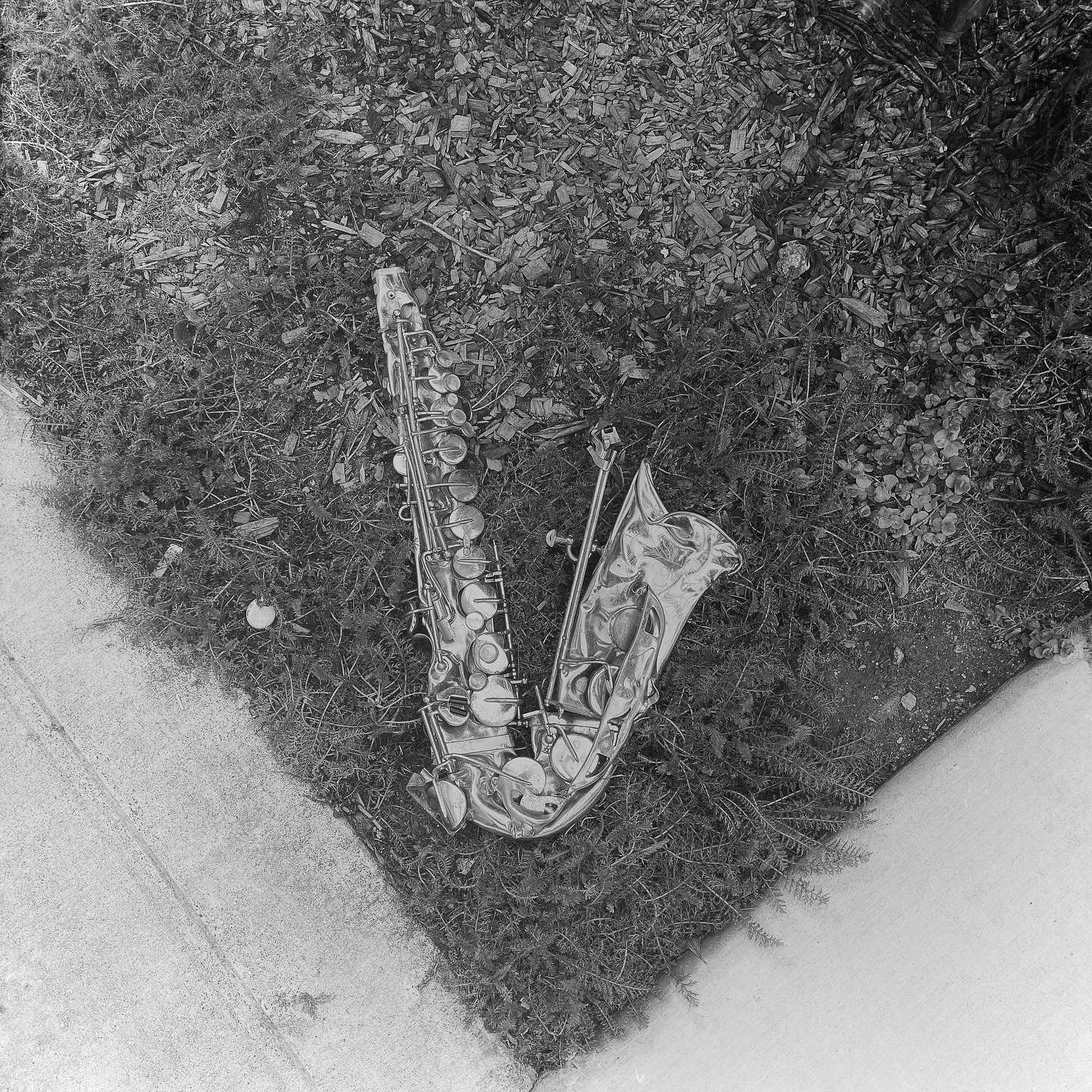 Not A Sax Fan (San Francisco) - Saxophone, v-shaped