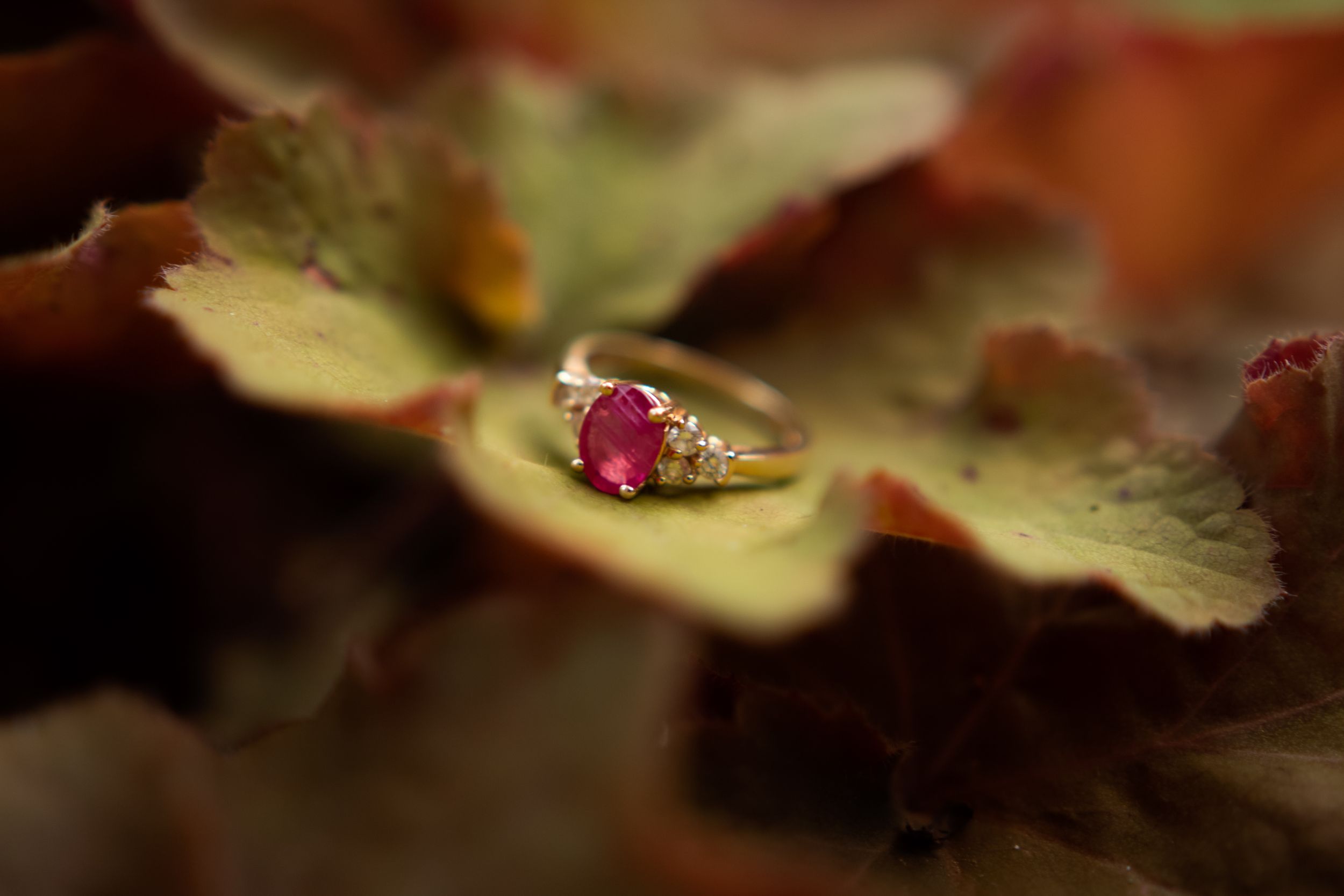 Engagement and Couples photographer Toledo, Maumee, Whitehouse, Waterville, NWO
