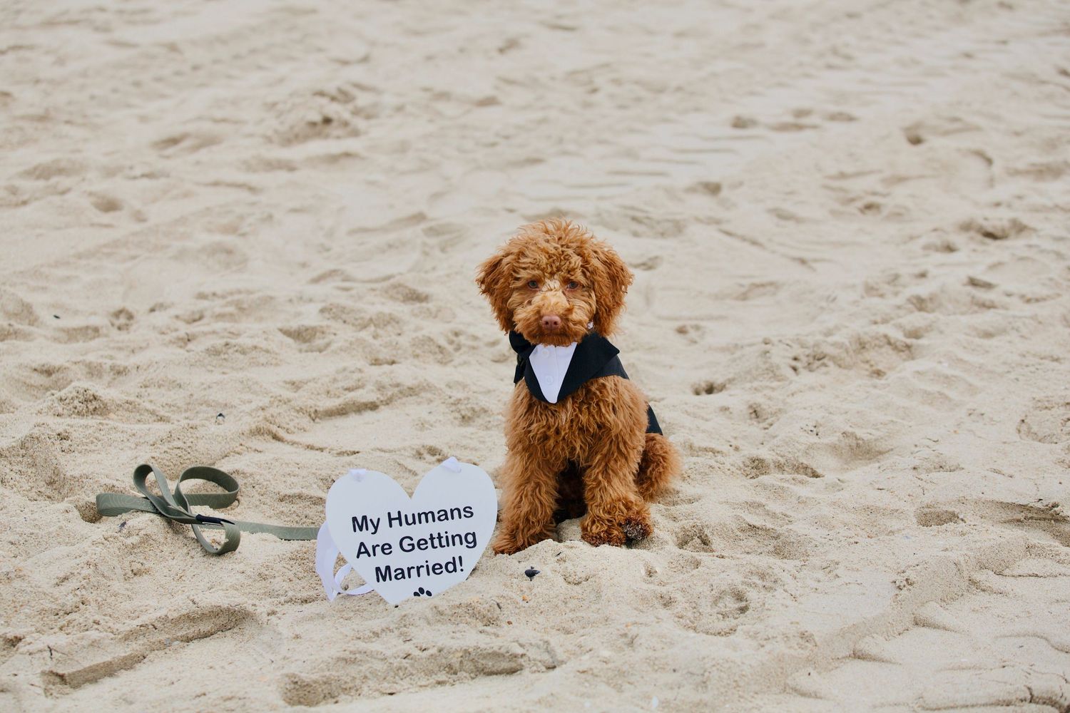 Monmouth County Wedding Photographer
