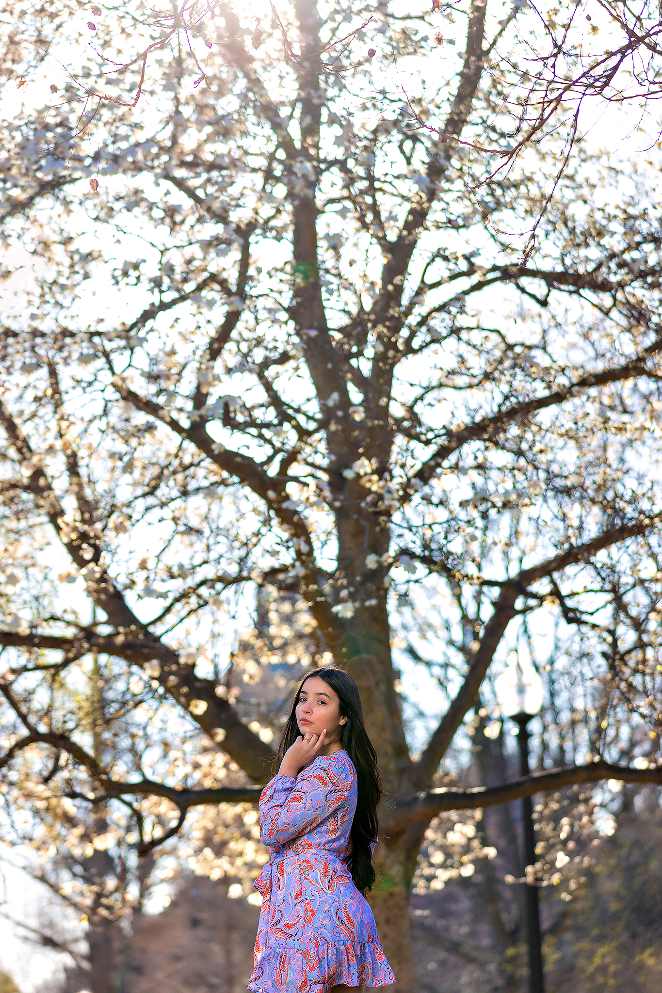 Spring portrait beneath blooming cherry blossom tree wearing purple floral dress.