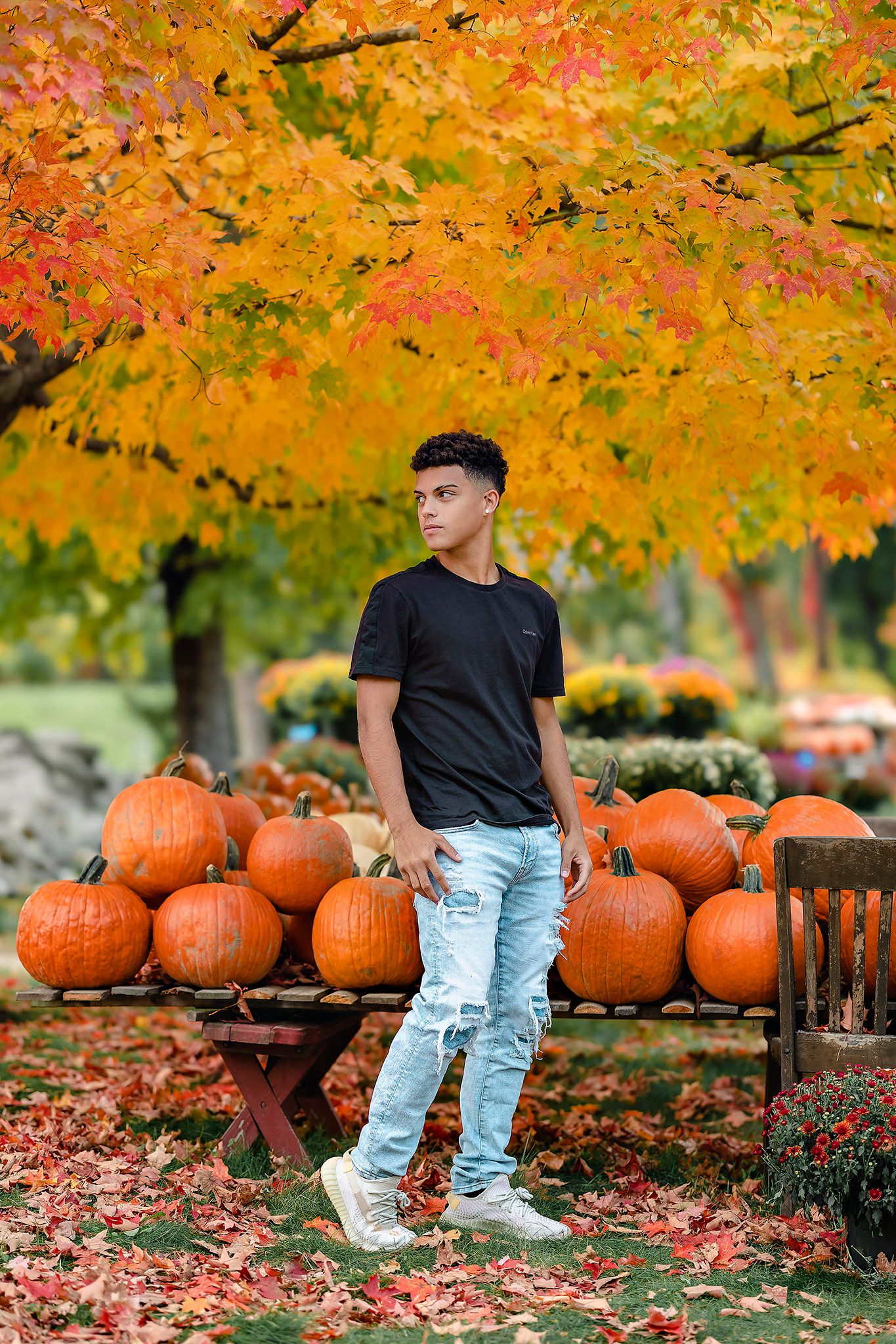 Fall scene with pumpkin display and autumn foliage in outdoor setting.