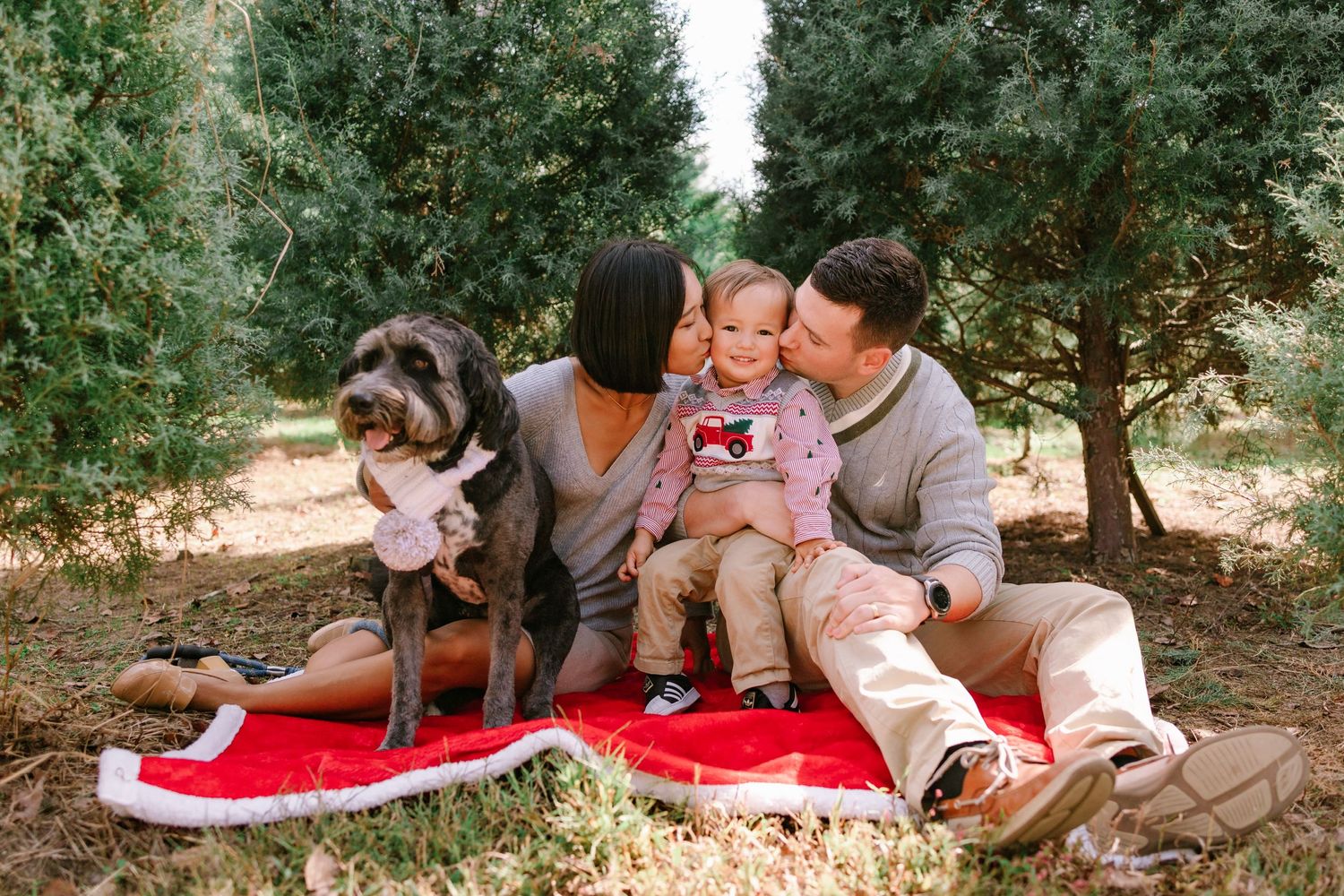 Family with baby and large dog sitting on red blanket among Christmas trees for holiday photo.